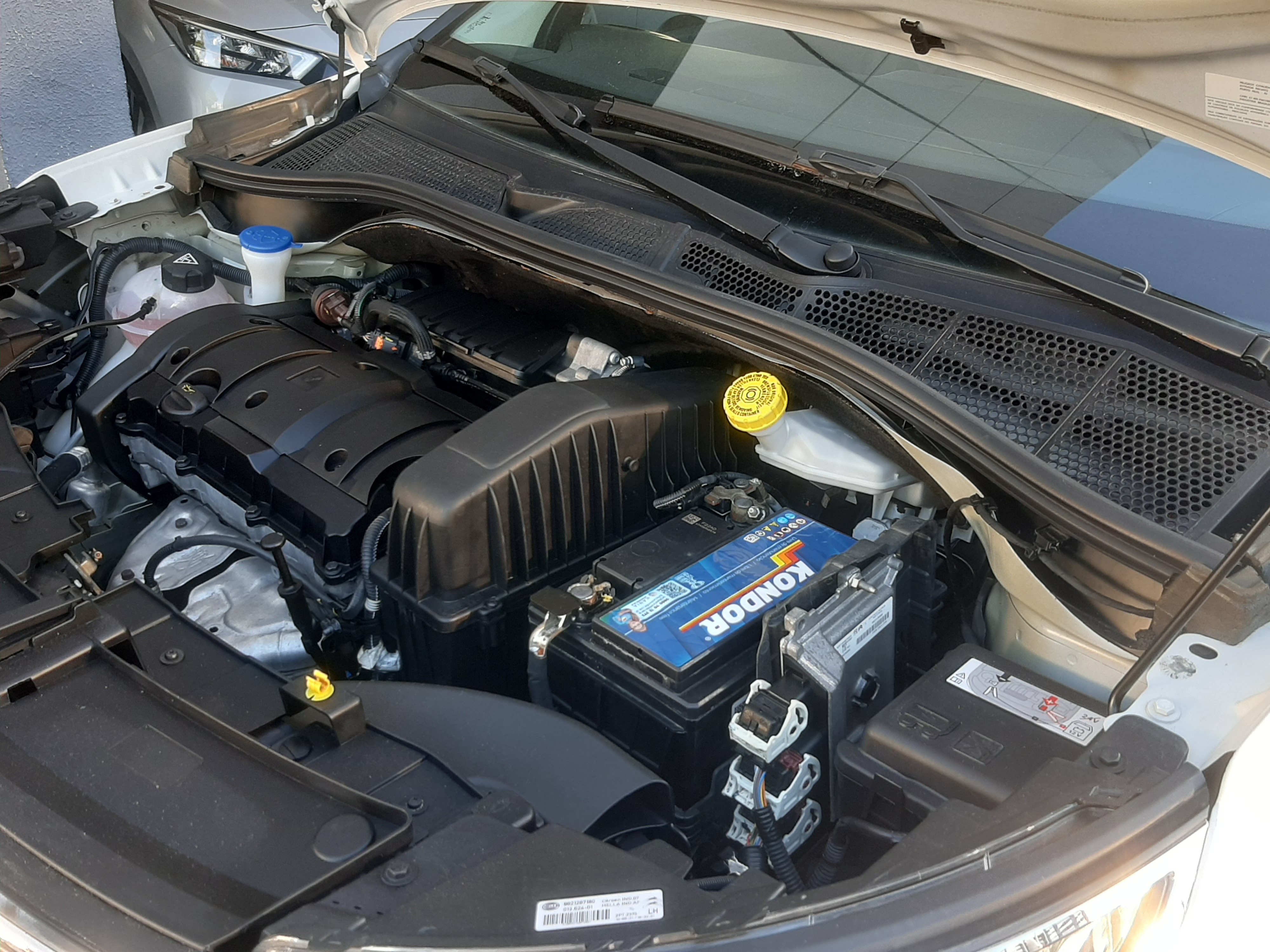 CITROテ起 C4 CACTUS